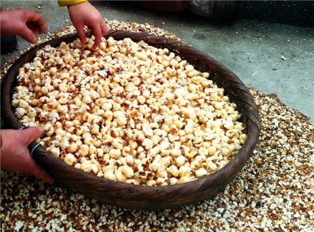 微信圖片_20241205151943 微信圖片_20241205151943