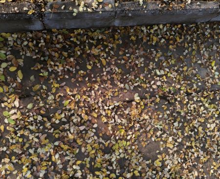 70e890f9111d3e2aed580b00388771a8